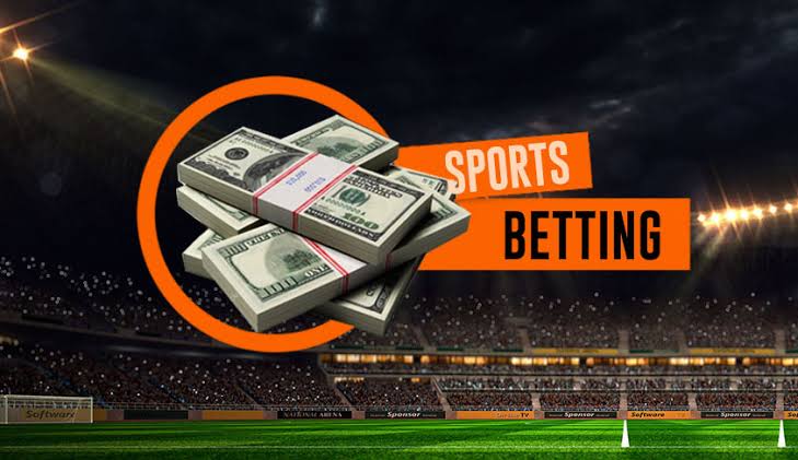 Exploring Bet Winner TZ Your Go-To Betting Platform